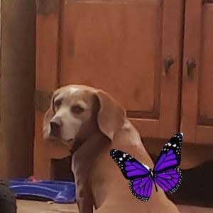 Meet your Posher, Doris gay